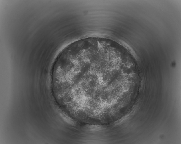 X0000094191027200711241611