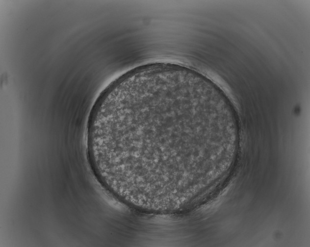 X0000094191028200711241611