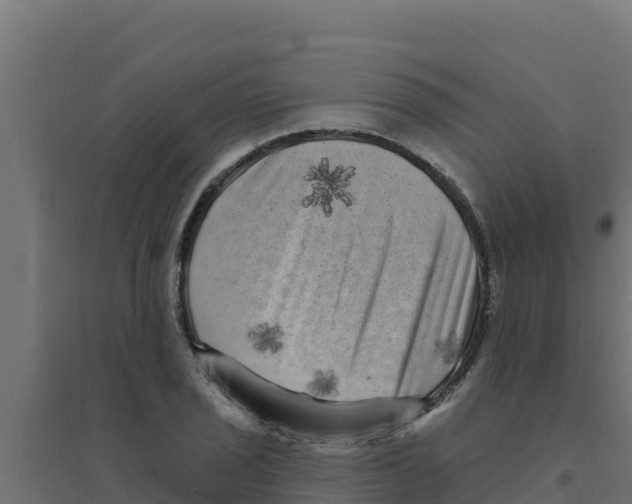 X0000094191029200711241611