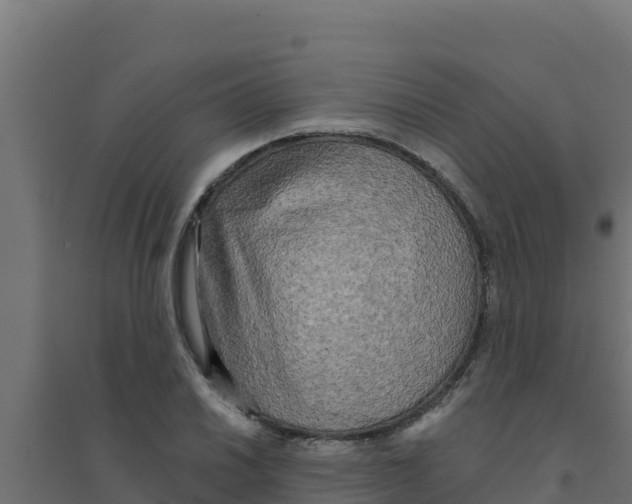 X0000094191030200711241611