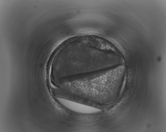 X0000094191031200711241611