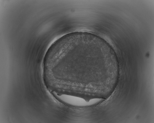 X0000094191032200711241611