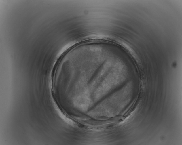 X0000094191034200711241611