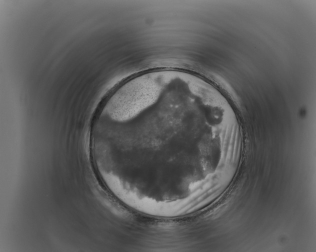 X0000094191035200711241611