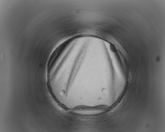 X0000094191036200711241611