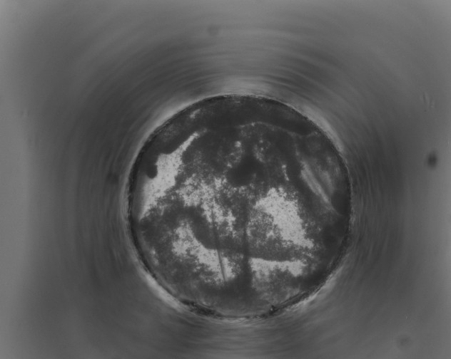 X0000094191037200711241611