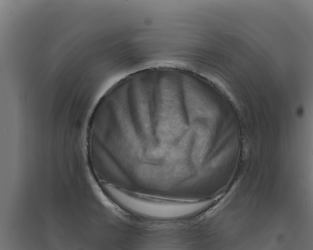 X0000094191038200711241611