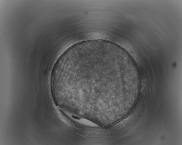 X0000094191039200711241611