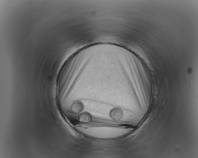 X0000094191040200711241611