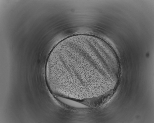 X0000094191041200711241611