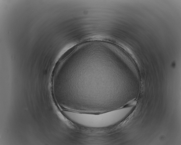 X0000094191042200711241611