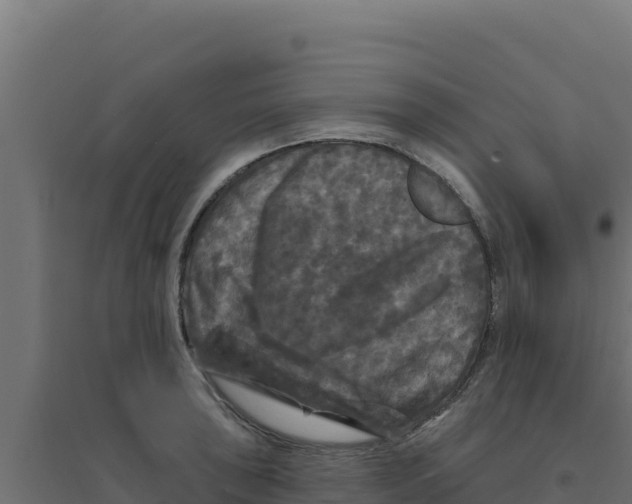 X0000094191043200711241611