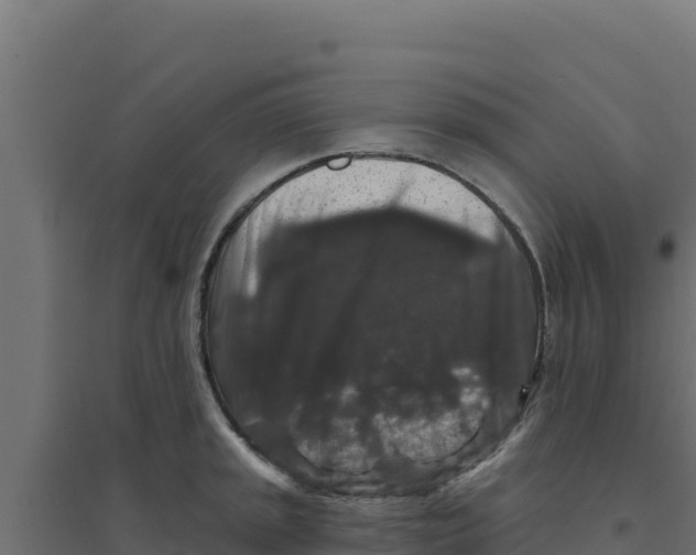 X0000094191045200711241611