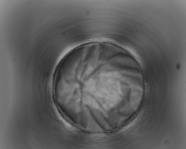 X0000094191046200711241611