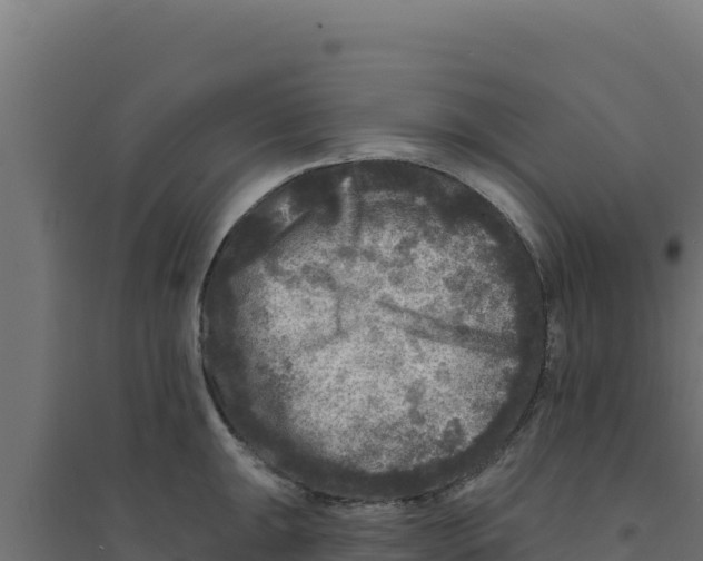 X0000094191047200711241611