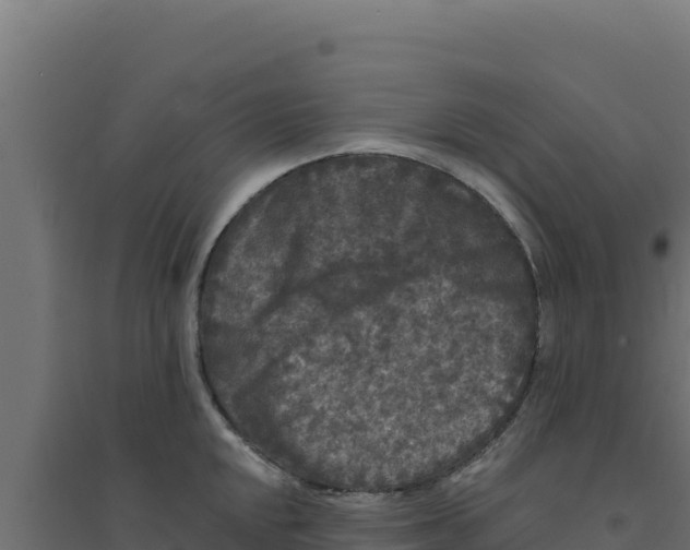 X0000094191048200711241611