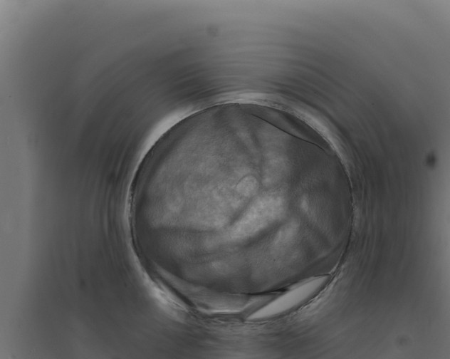 X0000094191050200711241611