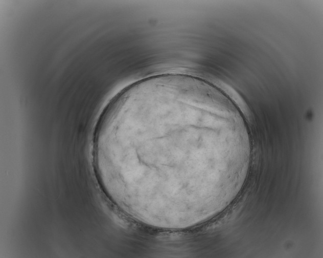 X0000094191051200711241611