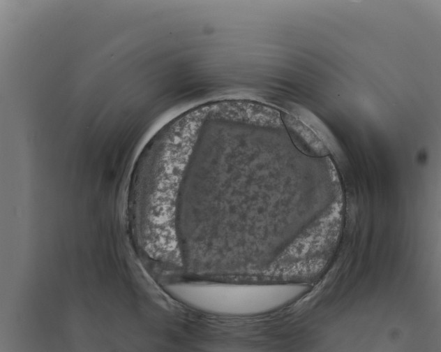 X0000094191052200711241611