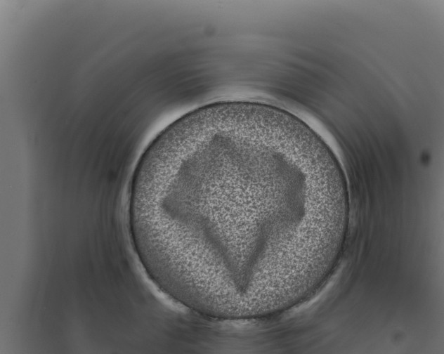 X0000094191053200711241611