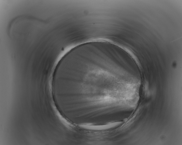 X0000094191054200711241611