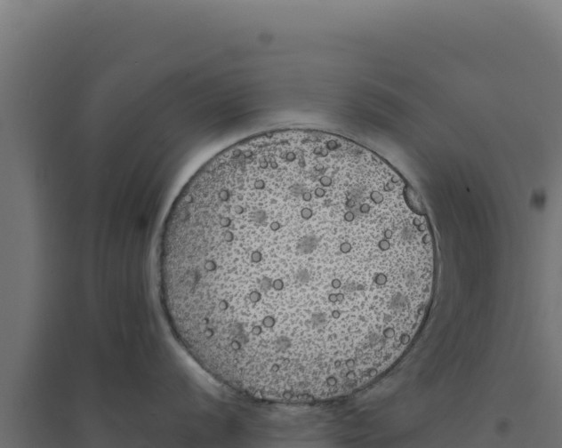 X0000094191056200711241611