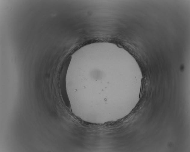 X0000094191057200711241610