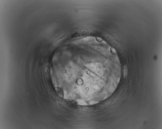 X0000094191059200711241610