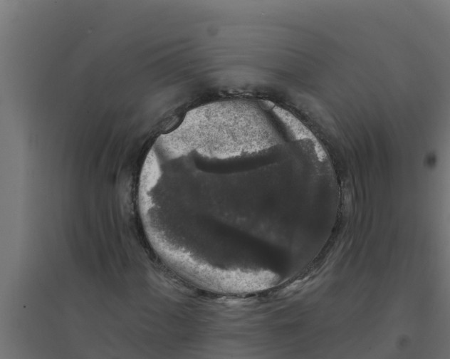 X0000094191060200711241610