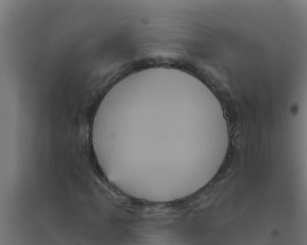 X0000094191061200711241610