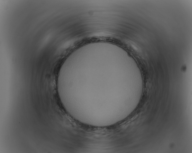 X0000094191062200711241610