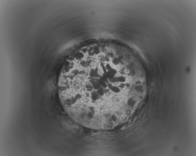 X0000094191063200711241610