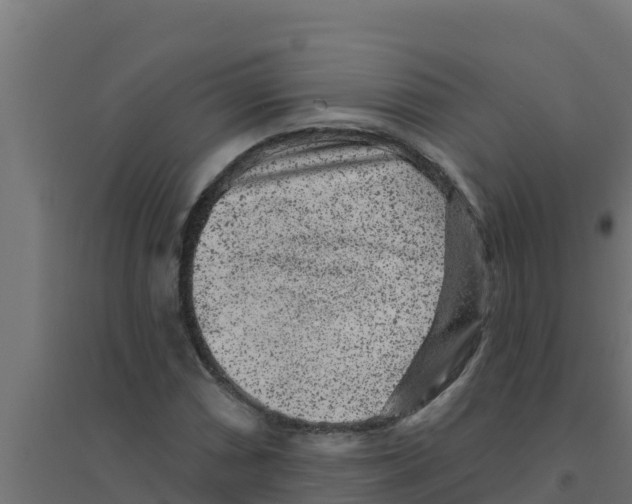 X0000094191066200711241610