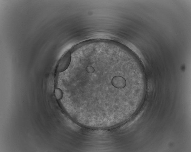 X0000094191067200711241610