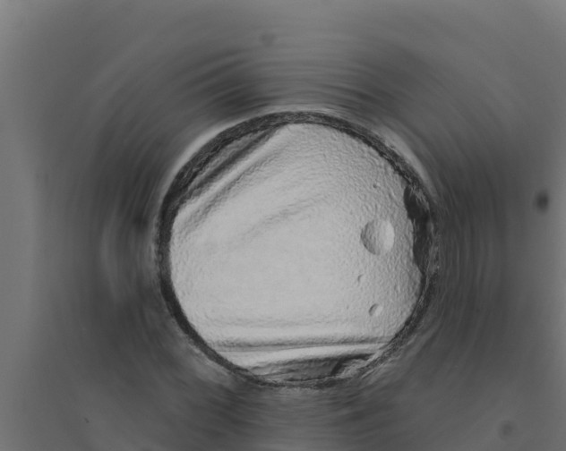 X0000094191068200711241610