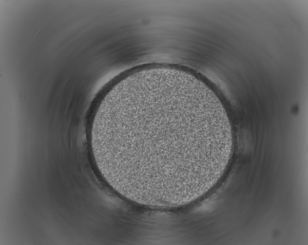 X0000094191070200711241610