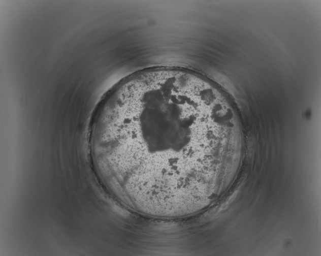 X0000094191071200711241610