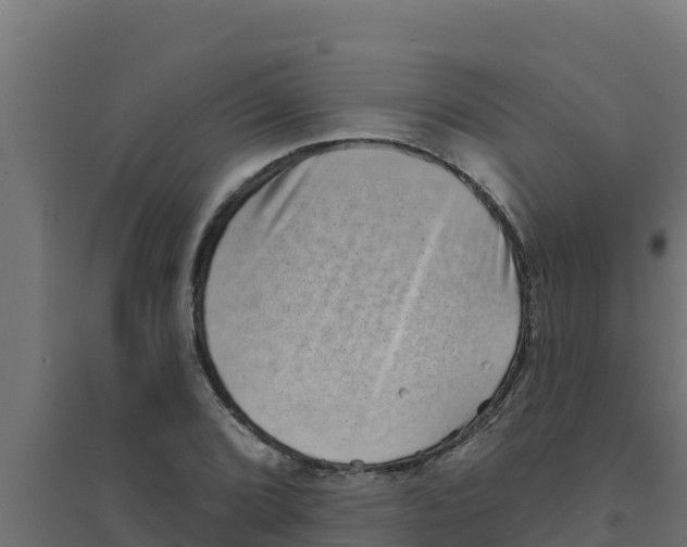 X0000094191072200711241610