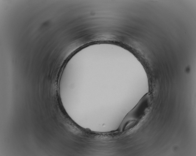 X0000094191073200711241610