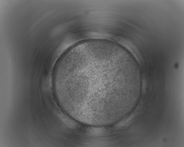 X0000094191074200711241610