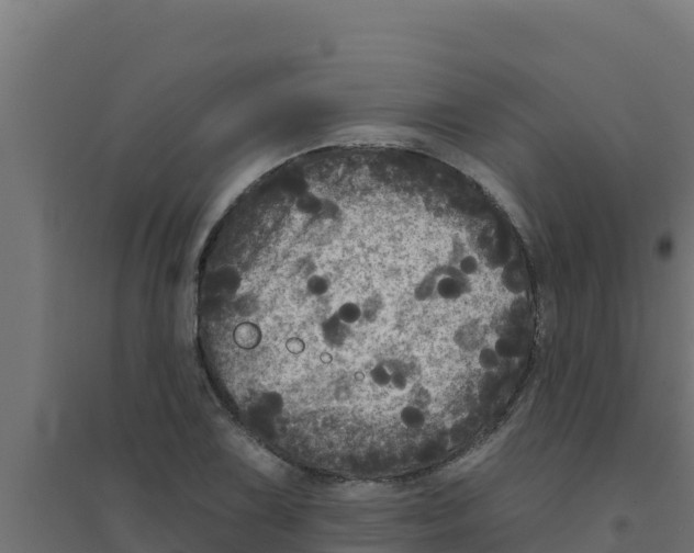 X0000094191075200711241610