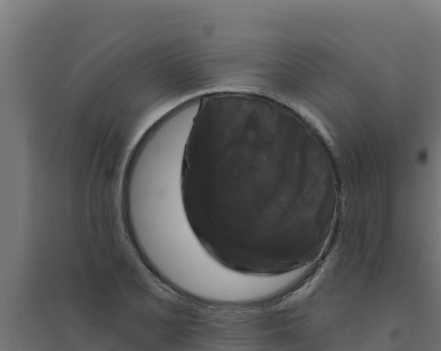 X0000094191077200711241610