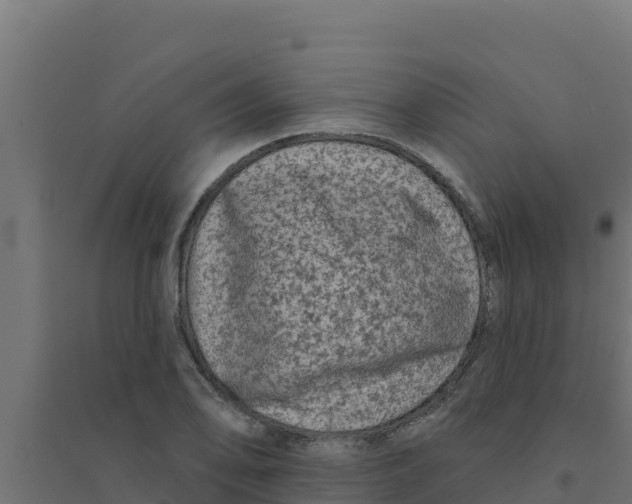 X0000094191078200711241610