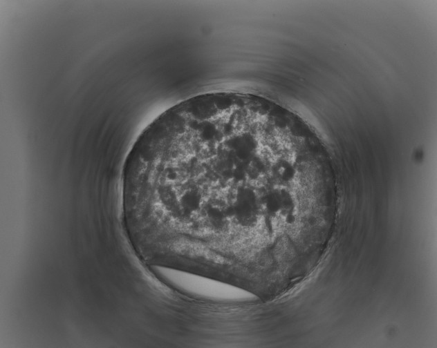 X0000094191079200711241610