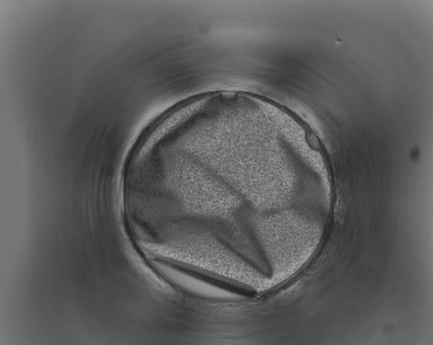 X0000094191080200711241610