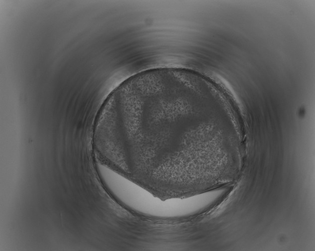 X0000094191081200711241610