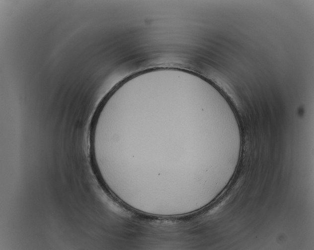 X0000094191082200711241610