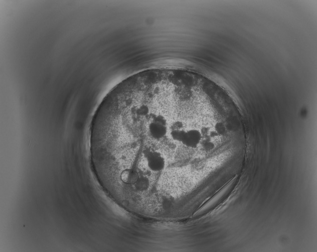 X0000094191083200711241610