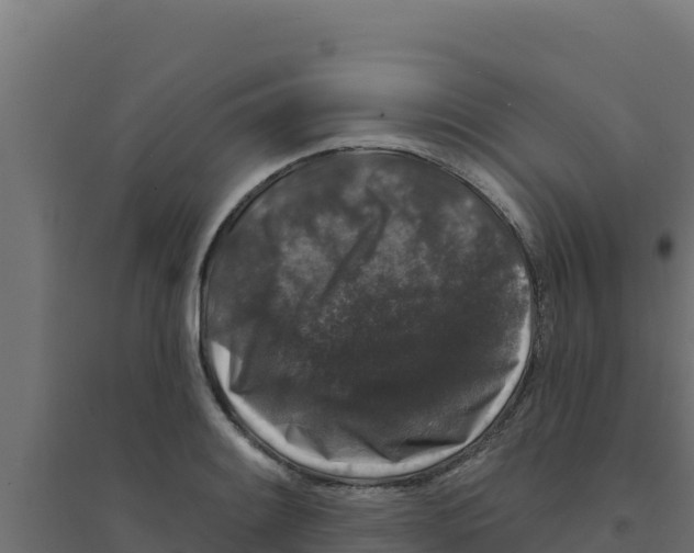 X0000094191084200711241610