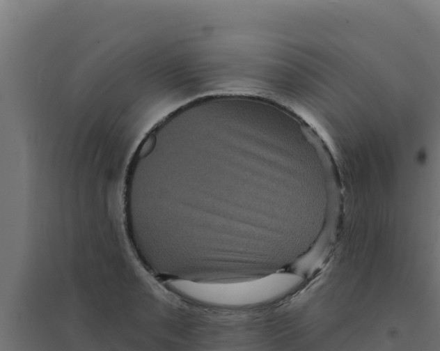 X0000094191085200711241610